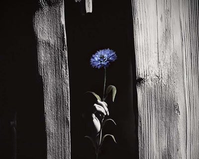 Светит, да не греет